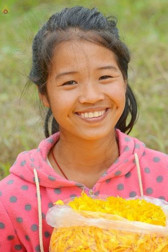 ภาพ No.13176:ประมวลภาพธุดงค์ธรรมชัย ปีที่ 4 วันที่ 12 มกราคม 2558