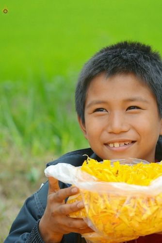 ภาพ No.13173:ประมวลภาพธุดงค์ธรรมชัย ปีที่ 4 วันที่ 12 มกราคม 2558