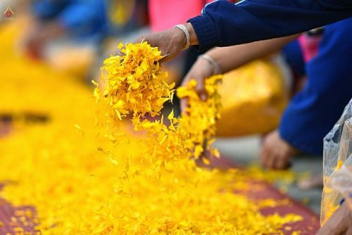 ภาพ No.13205:ประมวลภาพธุดงค์ธรรมชัย ปีที่ 4 วันที่ 13 มกราคม พ.ศ. 2558