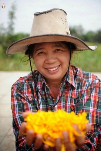 ภาพ No.13228:ประมวลภาพธุดงค์ธรรมชัย ปีที่ 4 วันที่ 13 มกราคม พ.ศ. 2558