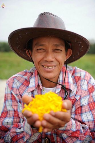 ภาพ No.13224:ประมวลภาพธุดงค์ธรรมชัย ปีที่ 4 วันที่ 13 มกราคม พ.ศ. 2558