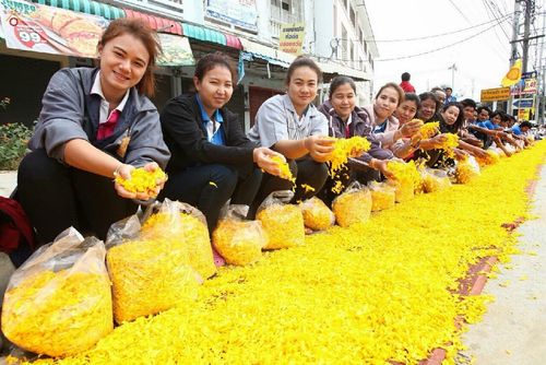 ภาพ No.13245:ประมวลภาพธุดงค์ธรรมชัย ปีที่ 4 วันที่ 13 มกราคม พ.ศ. 2558
