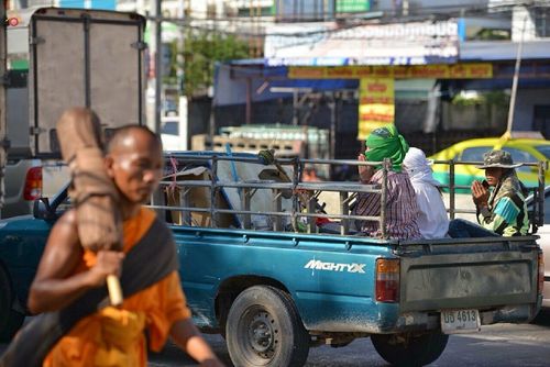 ภาพ No.13267:ประมวลภาพธุดงค์ธรรมชัย ปีที่ 4 วันที่ 13 มกราคม พ.ศ. 2558