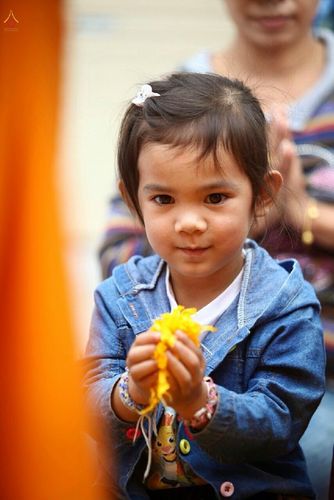 ภาพ No.13311:ประมวลภาพธุดงค์ธรรมชัย ปีที่ 4 วันที่ 13 มกราคม พ.ศ. 2558