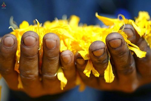 ภาพ No.13325:ประมวลภาพธุดงค์ธรรมชัย ปีที่ 4 วันที่ 13 มกราคม พ.ศ. 2558