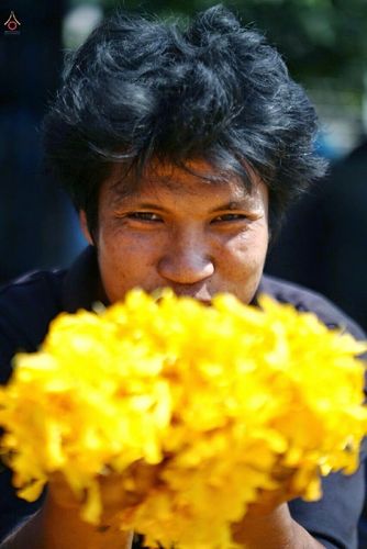 ภาพ No.13326:ประมวลภาพธุดงค์ธรรมชัย ปีที่ 4 วันที่ 13 มกราคม พ.ศ. 2558