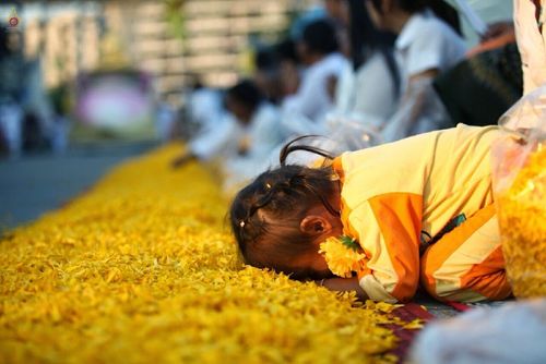 ภาพ No.13342:ประมวลภาพธุดงค์ธรรมชัย ปีที่ 4 วันที่ 13 มกราคม พ.ศ. 2558