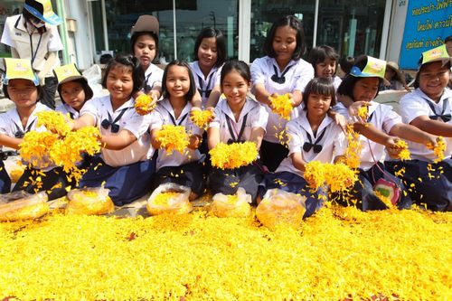 ภาพ No.13369:ประมวลภาพธุดงค์ธรรมชัย ปีที่ 4 วันที่ 14 มกราคม พ.ศ. 2558