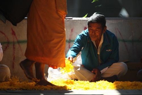 ภาพ No.13368:ประมวลภาพธุดงค์ธรรมชัย ปีที่ 4 วันที่ 14 มกราคม พ.ศ. 2558