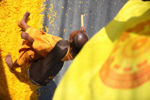 ภาพ No.13376:ประมวลภาพธุดงค์ธรรมชัย ปีที่ 4 วันที่ 14 มกราคม พ.ศ. 2558