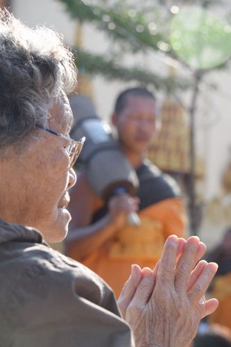 ภาพ No.13429:ประมวลภาพธุดงค์ธรรมชัย ปีที่ 4 วันที่ 14 มกราคม พ.ศ. 2558