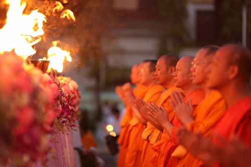 ภาพ No.13439: ประมวลภาพธุดงค์ธรรมชัย ปีที่ 4 วันที่ 15 มกราคม พ.ศ. 2558