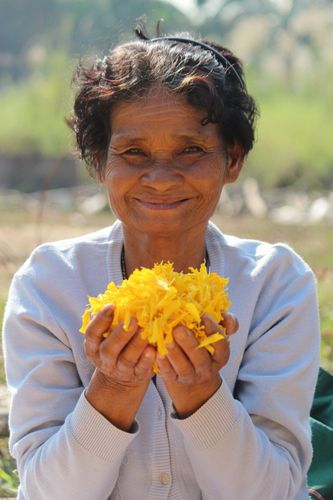 ภาพ No.13502:ประมวลภาพธุดงค์ธรรมชัย ปีที่ 4 วันที่ 16 มกราคม พ.ศ. 2558