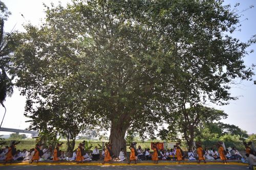 ภาพ No.13541:ประมวลภาพธุดงค์ธรรมชัย ปีที่ 4 วันที่ 16 มกราคม พ.ศ. 2558