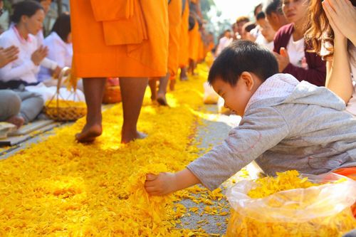 ภาพ No.13549:ประมวลภาพธุดงค์ธรรมชัย ปีที่ 4 วันที่ 16 มกราคม พ.ศ. 2558