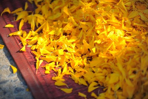 ภาพ No.13623:ประมวลภาพธุดงค์ธรรมชัย ปีที่ 4 วันที่ 16 มกราคม พ.ศ. 2558