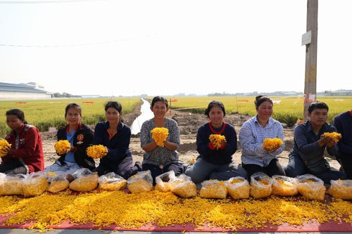 ภาพ No.13701:ประมวลภาพธุดงค์ธรรมชัย ปีที่ 4 วันที่ 17 มกราคม พ.ศ. 2558