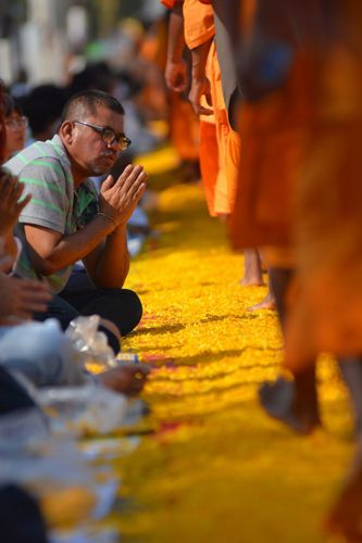 ภาพ No.13733:ประมวลภาพธุดงค์ธรรมชัย ปีที่ 4 วันที่ 17 มกราคม พ.ศ. 2558