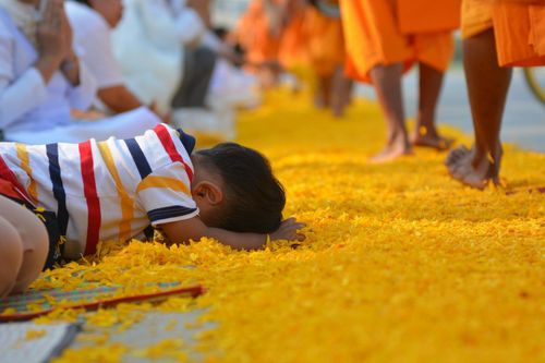 ภาพ No.13742:ประมวลภาพธุดงค์ธรรมชัย ปีที่ 4 วันที่ 17 มกราคม พ.ศ. 2558