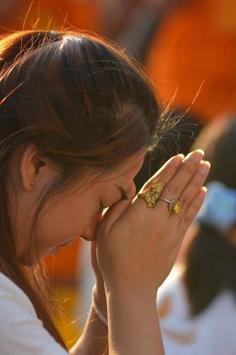 ภาพ No.13741:ประมวลภาพธุดงค์ธรรมชัย ปีที่ 4 วันที่ 17 มกราคม พ.ศ. 2558