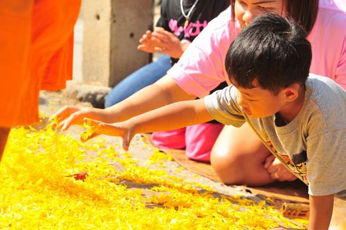 ภาพ No.13750:ประมวลภาพธุดงค์ธรรมชัย ปีที่ 4 วันที่ 17 มกราคม พ.ศ. 2558