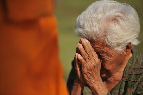 ภาพ No.13774:ประมวลภาพธุดงค์ธรรมชัย ปีที่ 4 วันที่ 17 มกราคม พ.ศ. 2558