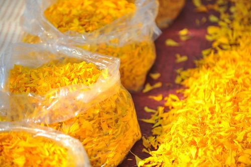 ภาพ No.13786:ประมวลภาพธุดงค์ธรรมชัย ปีที่ 4 วันที่ 17 มกราคม พ.ศ. 2558