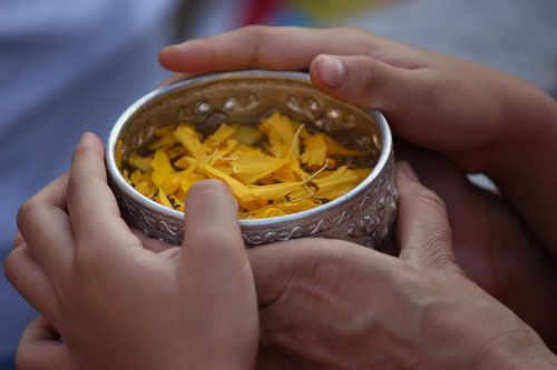 ภาพ No.13816:ประมวลภาพธุดงค์ธรรมชัย ปีที่ 4 วันที่ 17 มกราคม พ.ศ. 2558