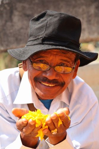 ภาพ No.13831:ประมวลภาพธุดงค์ธรรมชัย ปีที่ 4 วันที่ 17 มกราคม พ.ศ. 2558