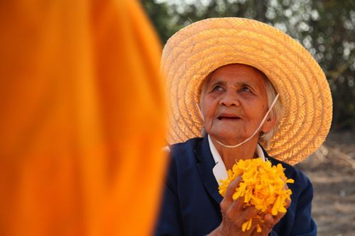 ภาพ No.13844:ประมวลภาพธุดงค์ธรรมชัย ปีที่ 4 วันที่ 17 มกราคม พ.ศ. 2558