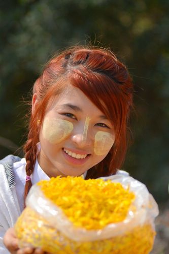 ภาพ No.13881:ประมวลภาพธุดงค์ธรรมชัย ปีที่ 4 วันที่ 18 มกราคม พ.ศ. 2558