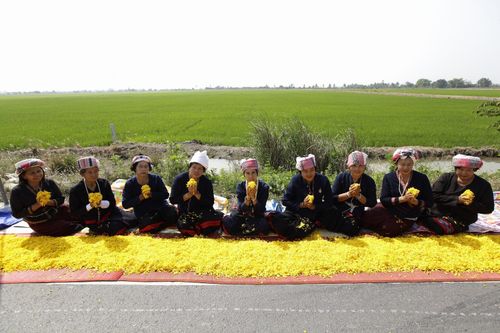 ภาพ No.13923:ประมวลภาพธุดงค์ธรรมชัย ปีที่ 4 วันที่ 18 มกราคม พ.ศ. 2558