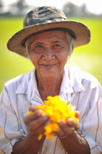 ภาพ No.13958:ประมวลภาพธุดงค์ธรรมชัย ปีที่ 4 วันที่ 18 มกราคม พ.ศ. 2558