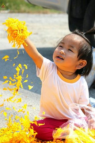 ภาพ No.14086:ประมวลภาพธุดงค์ธรรมชัย ปีที่ 4 วันที่ 20 มกราคม พ.ศ. 2558