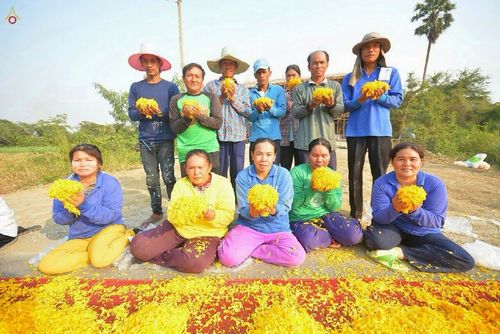 ภาพ No.14095:ประมวลภาพธุดงค์ธรรมชัย ปีที่ 4 วันที่ 20 มกราคม พ.ศ. 2558