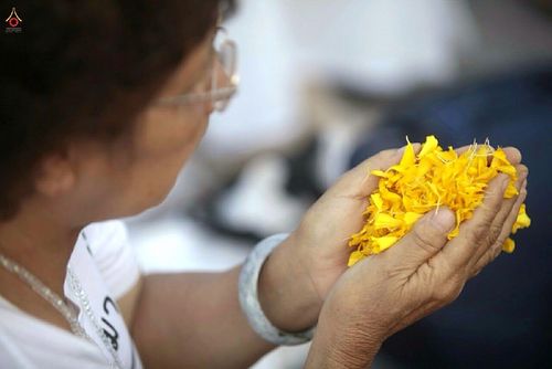 ภาพ No.14103:ประมวลภาพธุดงค์ธรรมชัย ปีที่ 4 วันที่ 20 มกราคม พ.ศ. 2558