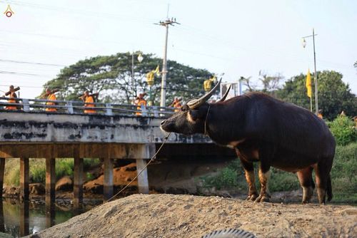 ภาพ No.14106:ประมวลภาพธุดงค์ธรรมชัย ปีที่ 4 วันที่ 20 มกราคม พ.ศ. 2558