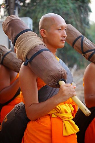 ภาพ No.14119:ประมวลภาพธุดงค์ธรรมชัย ปีที่ 4 วันที่ 20 มกราคม พ.ศ. 2558