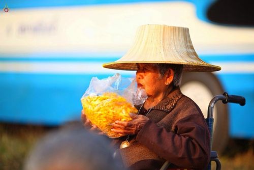 ภาพ No.14121:ประมวลภาพธุดงค์ธรรมชัย ปีที่ 4 วันที่ 20 มกราคม พ.ศ. 2558