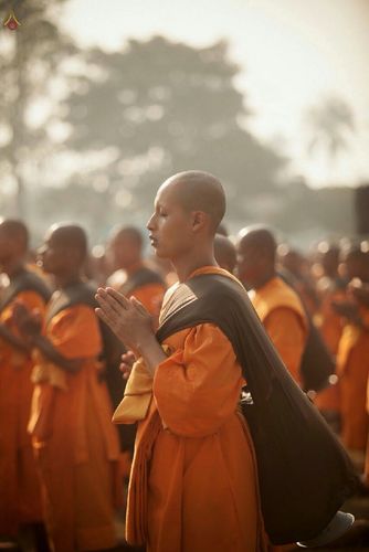 ภาพ No.14132:ประมวลภาพธุดงค์ธรรมชัย ปีที่ 4 วันที่ 21 มกราคม พ.ศ. 2558