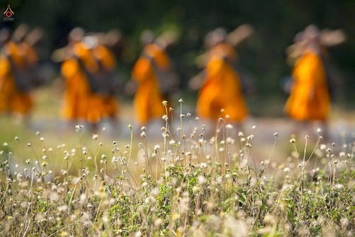 ภาพ No.14159:ประมวลภาพธุดงค์ธรรมชัย ปีที่ 4 วันที่ 21 มกราคม พ.ศ. 2558