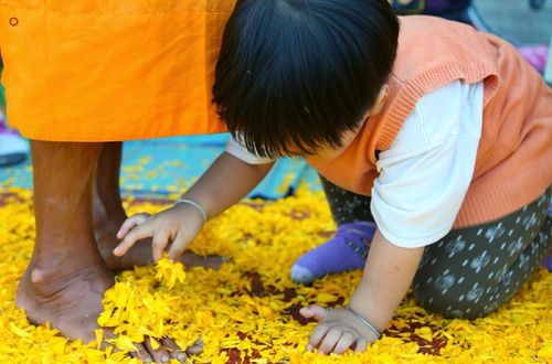 ภาพ No.14192:ประมวลภาพธุดงค์ธรรมชัย ปีที่ 4 วันที่ 21 มกราคม พ.ศ. 2558