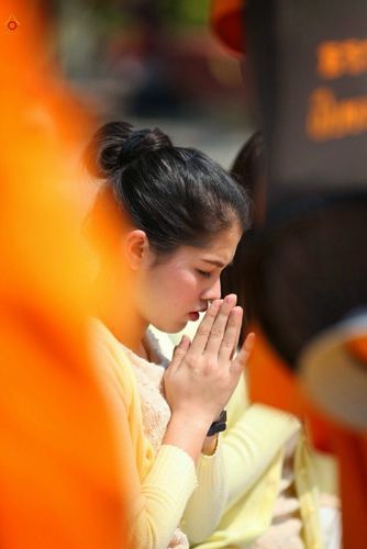 ภาพ No.14200:ประมวลภาพธุดงค์ธรรมชัย ปีที่ 4 วันที่ 21 มกราคม พ.ศ. 2558