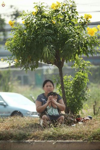 ภาพ No.14231:ประมวลภาพธุดงค์ธรรมชัย ปีที่ 4 วันที่ 22 มกราคม พ.ศ. 2558