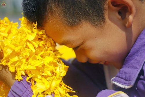 ภาพ No.14271:ประมวลภาพธุดงค์ธรรมชัย ปีที่ 4 วันที่ 22 มกราคม พ.ศ. 2558