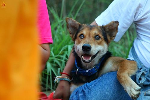 ภาพ No.14382:ประมวลภาพธุดงค์ธรรมชัย ปีที่ 4 วันที่ 23 มกราคม พ.ศ. 2558