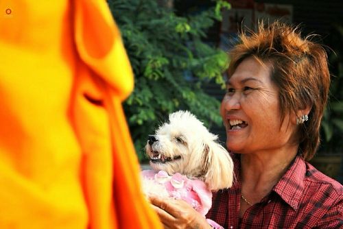 ภาพ No.14392:ประมวลภาพธุดงค์ธรรมชัย ปีที่ 4 วันที่ 23 มกราคม พ.ศ. 2558