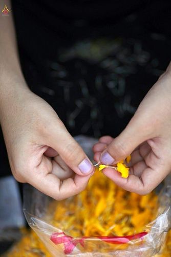 ภาพ No.14508:ประมวลภาพธุดงค์ธรรมชัย ปีที่ 4 วันที่ 24 มกราคม พ.ศ. 2558