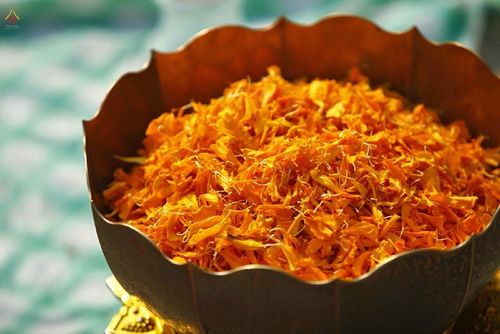 ภาพ No.14509:ประมวลภาพธุดงค์ธรรมชัย ปีที่ 4 วันที่ 24 มกราคม พ.ศ. 2558