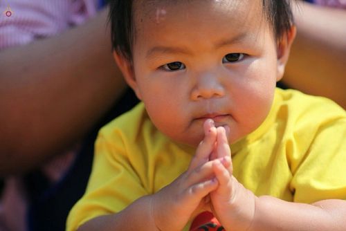 ภาพ No.14540:ประมวลภาพธุดงค์ธรรมชัย ปีที่ 4 วันที่ 24 มกราคม พ.ศ. 2558